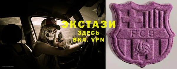 ECSTASY Богданович